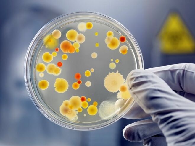 Az antibiotikumok ellenőrizetlen alkalmazása gombás prosztatagyulladást okoz